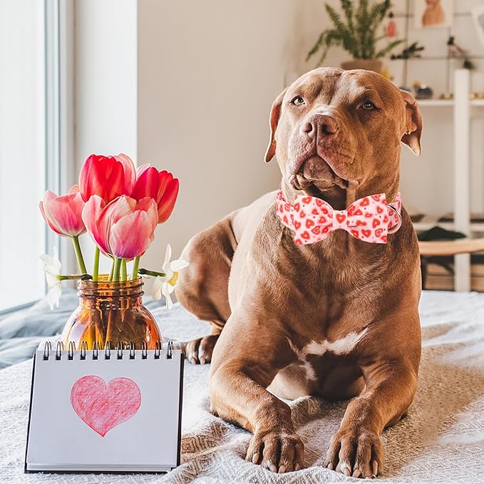 ARING PET Valentine Bow Dog Collar, Pink Red Heart Pet Collar with Bowtie for Small Medium Large Dogs-L