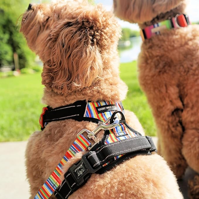 Lucky Love Dog Harness, Easy to Walk, No Pull Dog Harness, Adjustable Custom Fit (Hippie, Medium)