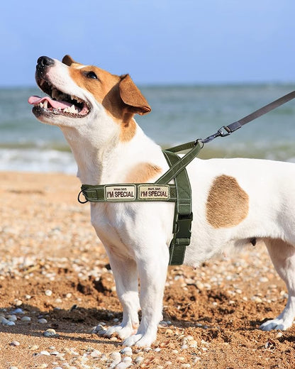 No Pull Dog Harness for Small Medium Large Sized Dogs, Escape Proof Adjustable Dog Harnesses with 2 Patch, Green Camo, XL