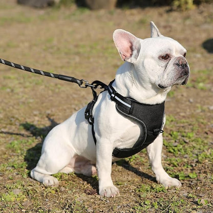 Amazon Basics No-Pull Dog Harness, Adjustable Soft Padded Vest with Reflective Stripes, Small, Black
