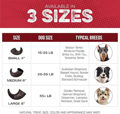 Water Buffalo Horn Dog Chew 4 Pack - Small 4" - All Natural Free Range Grass Fed Single Source Protein - No Chemicals, Additives, Hormones - Long Lasting, Good for Aggressive Chewers – by Fang & Claw