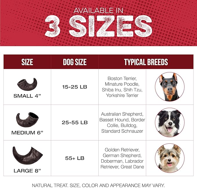 Fang and Claw Water Buffalo Horn Dog Chew 4 Pack (Medium 6 Inch), Long-Lasting Natural Chews for Aggressive Chewers, Single-Ingredient, No Rawhide