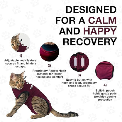 Bellyguard Cat Recovery Suit for Female and Male, Cat Surgery Suit Alternative, Onesie for After Spay Care, Post-Surgery Protective Body Cover for Feline and Kitten Healing