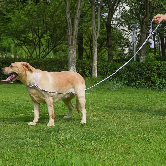 Waterproof Rubber Dog Collar, Odor-Resistant and Easy to Clean, Ideal for Daily Walks, Rainy Days, Swimming and Hiking, Fits Small Medium and Large Dogs