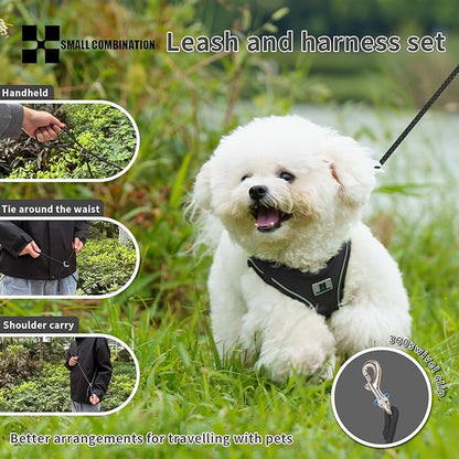 Adjustable Dog Harness with Leash, Reflective Mesh, No-Pull Design，Matching Lead Rope (Black, XXS)