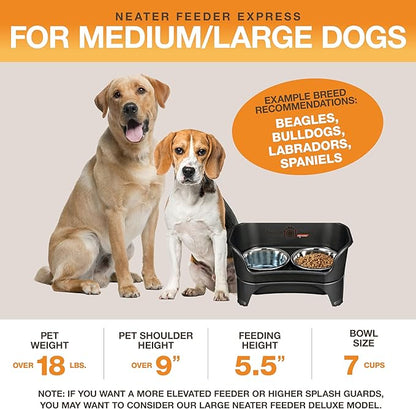 Neater Feeder Express Mess Proof Dog Bowls Elevated for Medium to Large Sized Breed, No Spill Raised Dog Food Bowl Stand, Stainless Steel Food and Water Bowl Set, Pet Dish Feeding Station, Black