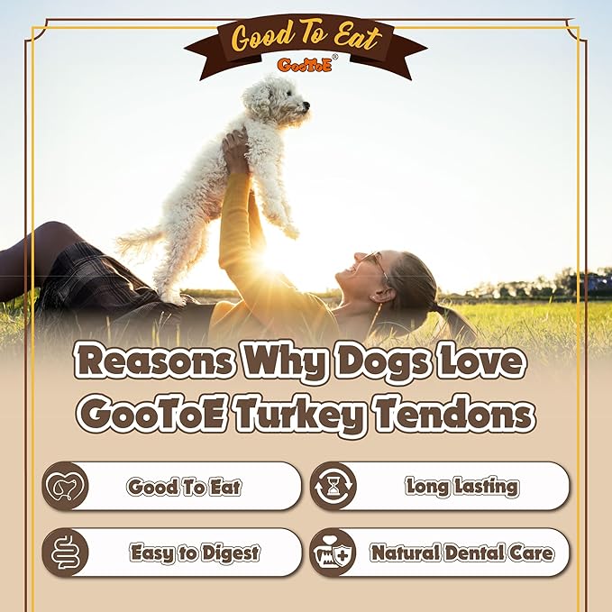 Gootoe Turkey Tendons for Dogs –All-Natural, Hypoallergenic Dog Treats, Rawhide Alternative, Long Lasting Puppy Chews, Healthy Dog Treats for Large Breeds, Bone (L), 9 Count Pack
