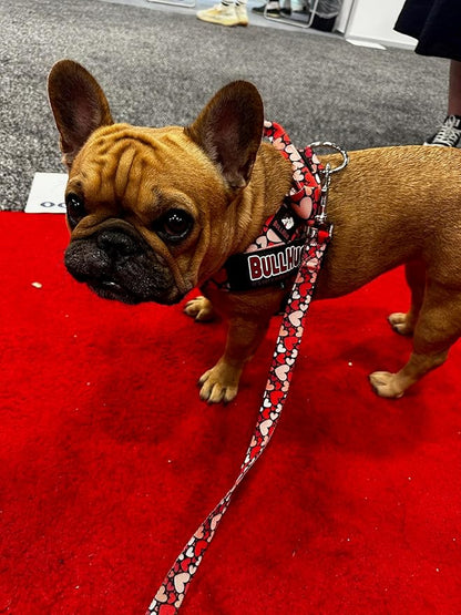 BULLHUG Adjustable Dog Harness– No Pull, No Choke – for English Bulldogs, French Bulldogs, Pugs & Broad-Chested Breeds – Easy, Safe Walks (Heart Beat, XS)