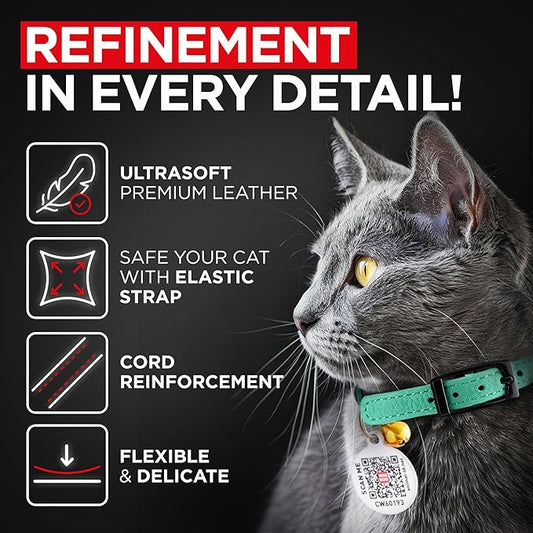 Leather Cat Collar with Bell and Safety Elastic Strap Breakaway Alternative for Small & Large Kittens, Stylish Pet Leather Collar for Boy, Girl Cats with Metal Buckle & QR ID Tag (Mint)