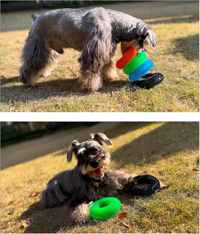 ADUCK Dog Squeaky Chew Toys for Aggressive Chewers, Small Medium Large Dogs Teeth Cleaning Soft Natural Rubber Float Toy for Indoor Outdoor Water Pool, Donut Ring Design 4.92 inch, Crystal Purple