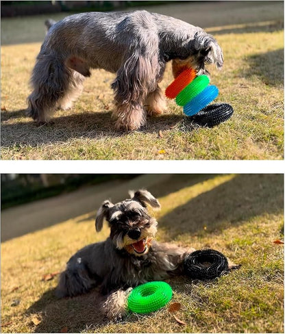 ADUCK Dog Squeaky Chew Toys for Aggressive Chewers, Small Medium Large Dogs Teeth Cleaning Soft Natural Rubber Float Toy for Indoor Outdoor Water Pool, Donut Ring Design 4.92 inch, Crystal Purple