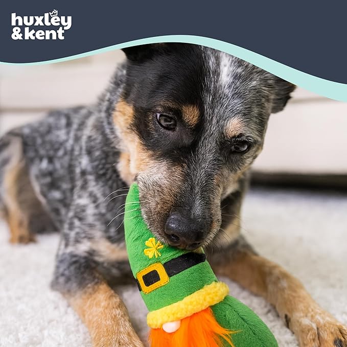 Huxley & Kent Funny Dog Toy w/Squeaker – St. Patrick's Day Power Plush Squeaky Dog Toys for Small, Medium & Large Dogs – Soft Stuffed Animal for Indoor Play & Fetch - Fetchies® Lucky Gnome, One Size