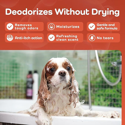 Sensitive Care -Tangle-Free-Silky Shine Softening and detangling Shampoo, Delicate Coat Clean & Odor Control Shampoo – Advanced Shine Formula for Dogs (Cavalier King Charles Spaniel, 16 Fluid Ounces)