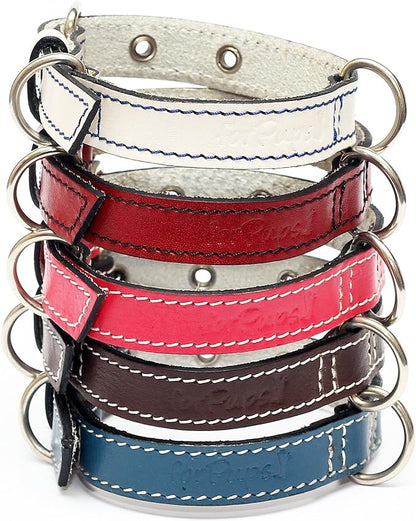 Premium Leather Collars with Stainless Steel Buckles (9"-12", White)
