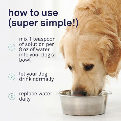 Petpost | Dental Solution for Dogs - Water Additive That Eliminates Bad Breath - Dirt, Gunk, and Tooth Buildup Gone - Natural Tooth Cleaning Solution 16 oz.