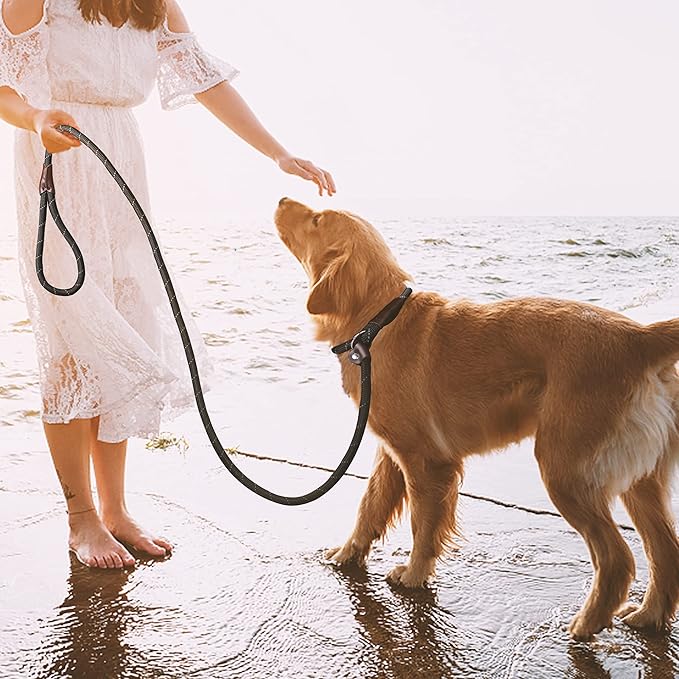 TwoEar 6FT Slip Lead Dog Leash, Heavy Duty Slip Leash for Dogs with Highly Reflective, Strong Rope Slip Leads No Pull Pet Training Leashes for Large Medium Dogs (1/2", Black)