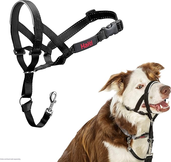 Halti Headcollar - Stop Your Dog Pulling on the Leash. Adjustable, Reflective and Lightweight, with Padded Nose Band. Dog Training Anti-Pull Collar for Medium Dogs (Size 2, Black)
