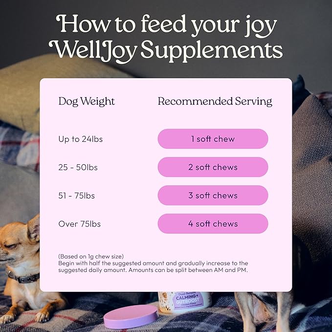 New! WellJoy Dog Supplement Calming+ GutBoost | Dog Health Supplement | Promotes Relaxation & Calmness | Dual-Benefit GutBoost Formulation | Vet Formulated | USA Made | Chicken Flavor | 90 Soft Chews