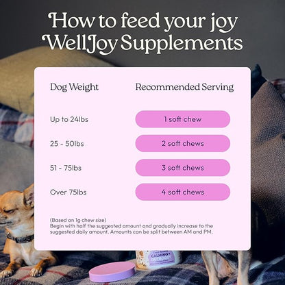 New! WellJoy Dog Supplement Calming+ GutBoost | Dog Health Supplement | Promotes Relaxation & Calmness | Dual-Benefit GutBoost Formulation | Vet Formulated | USA Made | Chicken Flavor | 90 Soft Chews