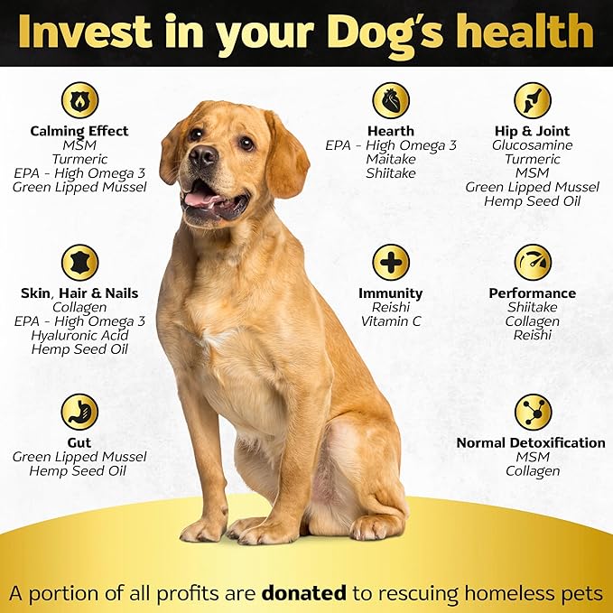 Life4Legs - Hip and Joint Chews for Dogs + Skin and Coat Supplement - Dog Joint Pain Relief Treats - Glucosamine, Chondroitin, MSM, Hemp Oil, Turmeric, Omega 3 for Dogs, Mobility Dog Health Supplies