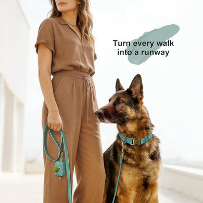 Didog Soft PU Leather Dog Collar, Stylish Quick Released Dog Collars for Large Dogs, Easy Clean Adjustable Pet Collar for Daily Walking, Green, XL Fit 17-27" Neck