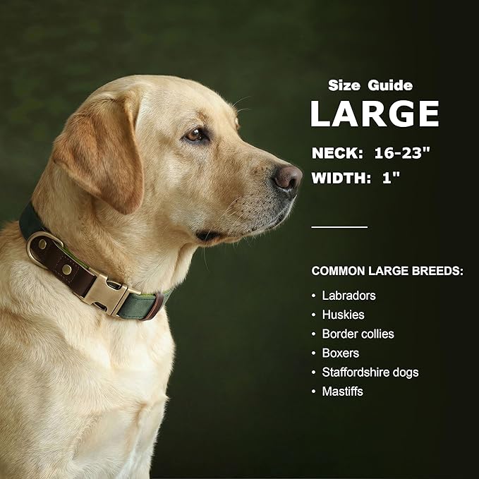 Didog Soft PU Leather Dog Collar for Large Dogs,Classic Adjustable Dog Collars with Quick Release Metal Buckle,Easy Clean and Comfortable with Nylon Lining,Green,L Neck 16-23"