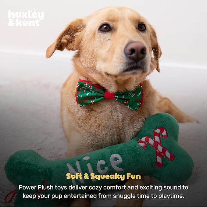 Huxley & Kent Funny Dog Toy w/Squeaker – Holiday Power Plush Squeaky Dog Toys for Small, Medium & Large Dogs – Soft Stuffed Animal for Indoor Play & Fetch - Naughty Nice Bone, Small