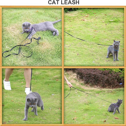 AMAGOOD 6 FT Cat Leash, Strong and Durable Traditional Style Leash with Easy to Use Collar Hook,Cat Lead Great for Cats (3/8 in x 6 ft,Black and Pruple(2-Pack))