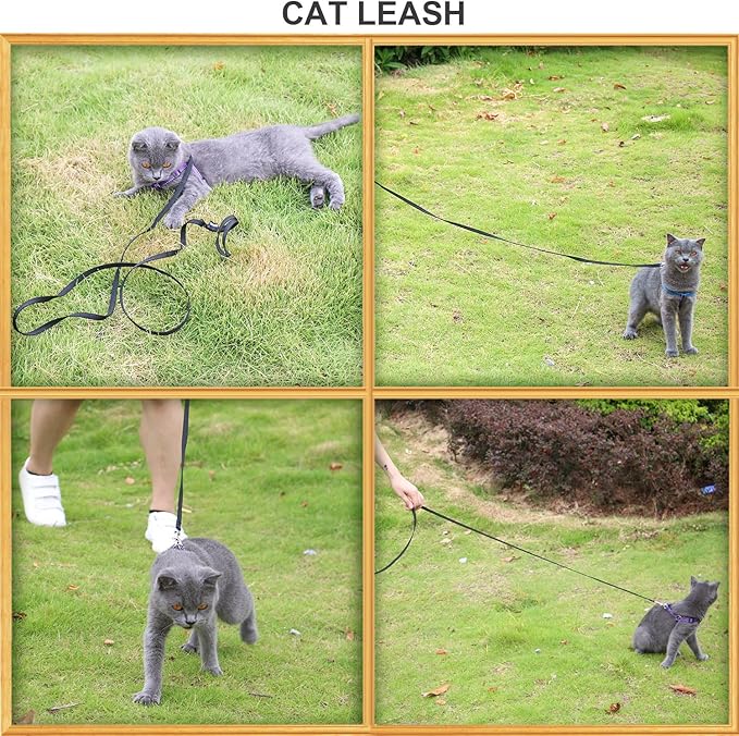 AMAGOOD 6 FT Cat Leash, Strong and Durable Traditional Style Leash with Easy to Use Collar Hook,Cat Lead Great for Cats (3/8 in x 6 ft,Black and Orange(2-Pack))