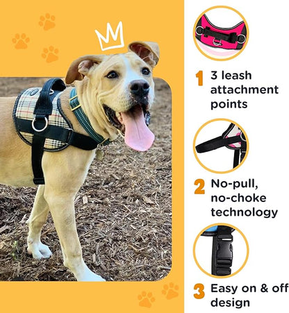Bark Appeal Blue Hibiscus No-Pull Dog Harness for Extra Small Sized Pets – Adjustable, Reflective Vest with 3 Leash Clips for Added Control, Easy Walks & Training – XS