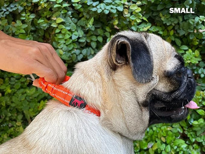 Tuff Pupper Heavy Duty Dog Collar with Handle | Ballistic Nylon Heavy Duty Collar | Padded Reflective Dog Collar with Adjustable Stainless Steel Hardware | Convenient Sizing for All Breeds