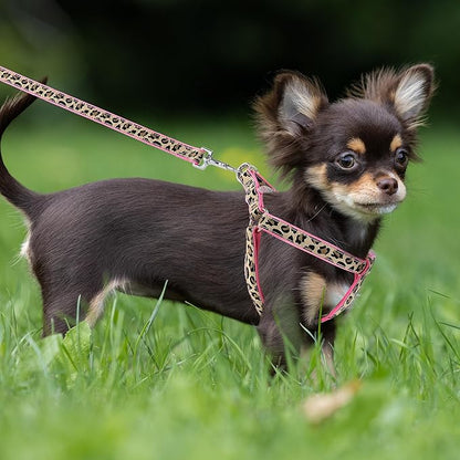 Mile High Life Leopard Dog Harness Collar Leash Set, Adjustable No Pull Dog Halter Harness for Small Breed Dogs, Easy Control for Training Walking (Pink, M Chest 15"-21", Neck 13"-17")