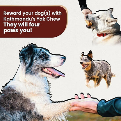 Authentic Himalayan Yak Cheese for Dogs - Medium (Pack of 10) - Sourced from Pristine Himalayan Foothill, Rawhide-Free, NO preservatives