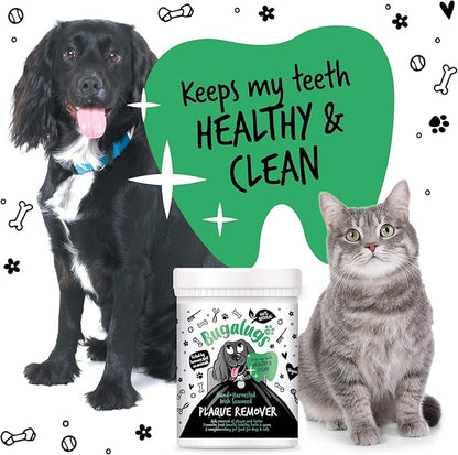 BUGALUGS Plaque Off Remover for Dog Teeth & Bad Breath 100% Natural | Plaque Off No Toothbrush or Dog Toothpaste | Remove Dog Bad Breath & Plaque Remover for Dogs & Cats (Dog 70g)