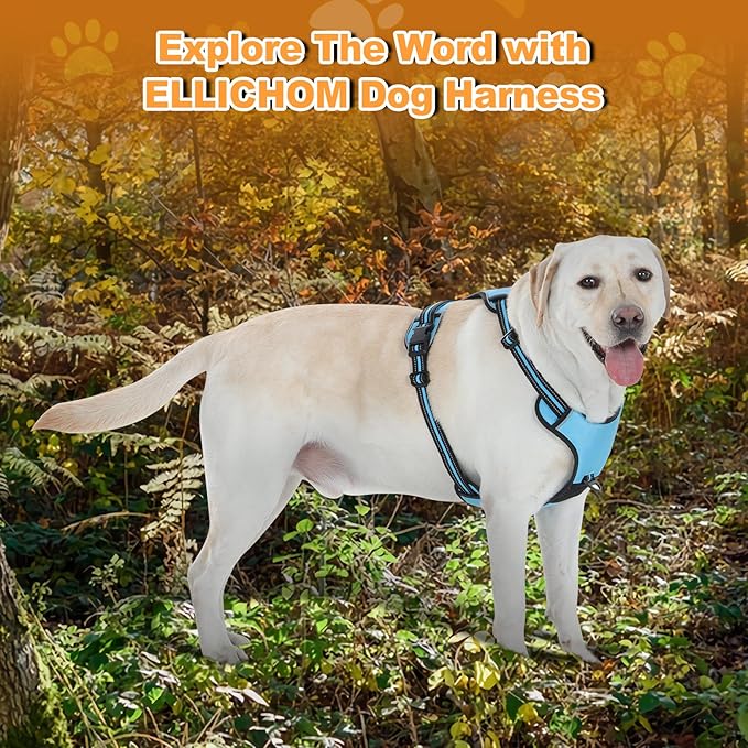 No Pull Dog Harness with 3 Snap Buckles,No Choke Front Lead pet Harness Reflective and Adjustable Soft Padded Vest for Small Medium Large Dog (Blue, Large)