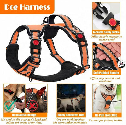 LOBEVE No Pull Dog Harness, Collar & Leash Set | Includes Dog Seat Belt, Collapsible Bowls & Poop Bag Dispenser. Ideal for Training, Walking, Hiking. Fits Small to Large Dogs(Orange-S)