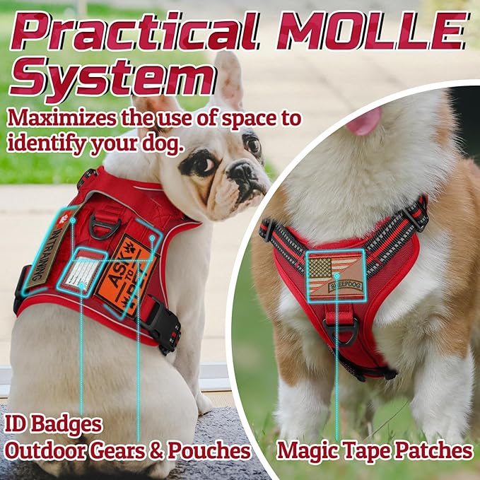 rabbitgoo Tactical Dog Harness for Small Dogs, No Pull Military Service Vest with Handle & Molle, Easy Control for Training Walking, Adjustable Reflective Straps, Red, S