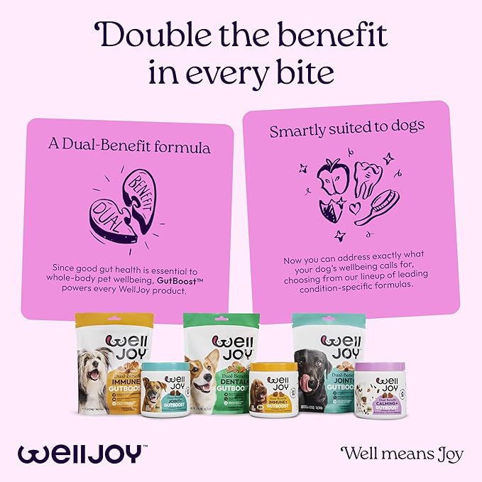 New! WellJoy Dog Supplement Calming+ GutBoost | Dog Health Supplement | Promotes Relaxation & Calmness | Dual-Benefit GutBoost Formulation | Vet Formulated | USA Made | Chicken Flavor | 90 Soft Chews