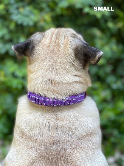 Tuff Pupper Heavy Duty Dog Collar with Handle | Ballistic Nylon Heavy Duty Collar | Padded Reflective Dog Collar with Adjustable Stainless Steel Hardware | Convenient Sizing for All Breeds