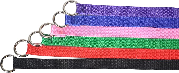 Downtown Pet Supply - 6ft Kennel Slip Lead Leash - Veterinarian, Grooming, Daycare & Animal Rescue Supplies - One Size for Dogs - 1" Thick 120 Pack