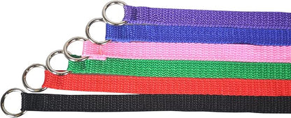 Downtown Pet Supply - 6ft Kennel Slip Lead Leash - Veterinarian, Grooming, Daycare & Animal Rescue Supplies - One Size for Dogs - 1" Thick 120 Pack