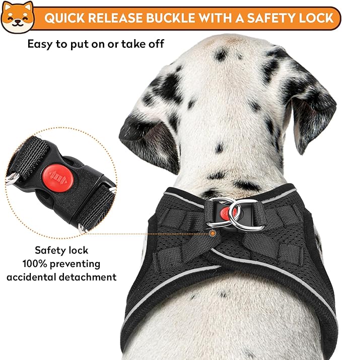 Dog Harness with Leash Set, No-Pull Step-in Reflective Pet Harness with 1 Leash Clips, Adjustable Soft Padded Easy Walk Dog Vest for Small Medium Large Dogs, Cats(Carbon Black, Medium)