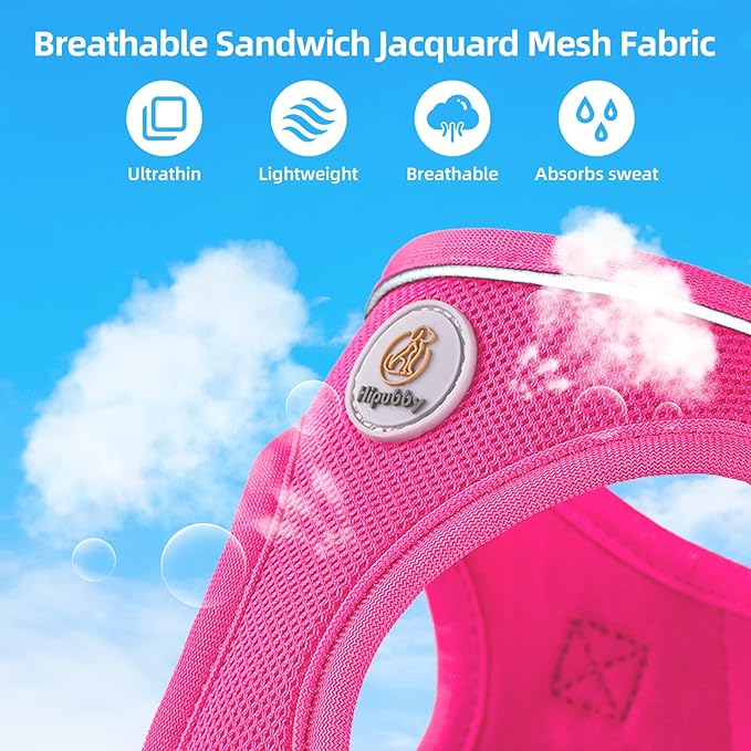 Hipubby Dog Harness and Leash Set, No Pull Soft Mesh Puppy Harness for Small Medium Dogs, Cats - Step in Reflective Breathable Lightweight Vest Harness for Walking, Training - Rose Red, L