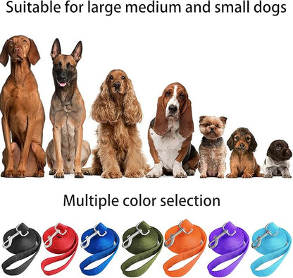 10ft Mint Blue Dog Leashes Long Line Training Leash,for Large,Medium and Small Dogs,Long Puppy Lead,for Training,Backyard,Camping,or Play,Great for Parks and Fetch (10FT, Mint Blue)