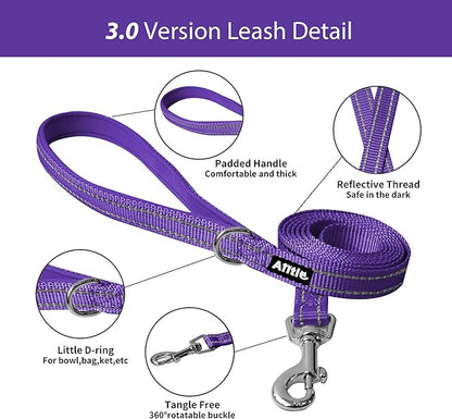 AIITLE Dog Harness, No-Pull Cat Harness with a Leash, Adjustable Reflective Dog Vest, Cat Harness Escape Proof, Outdoor Walking, Running,Training for Extra Small Dogs and House Cats Purple XXXS