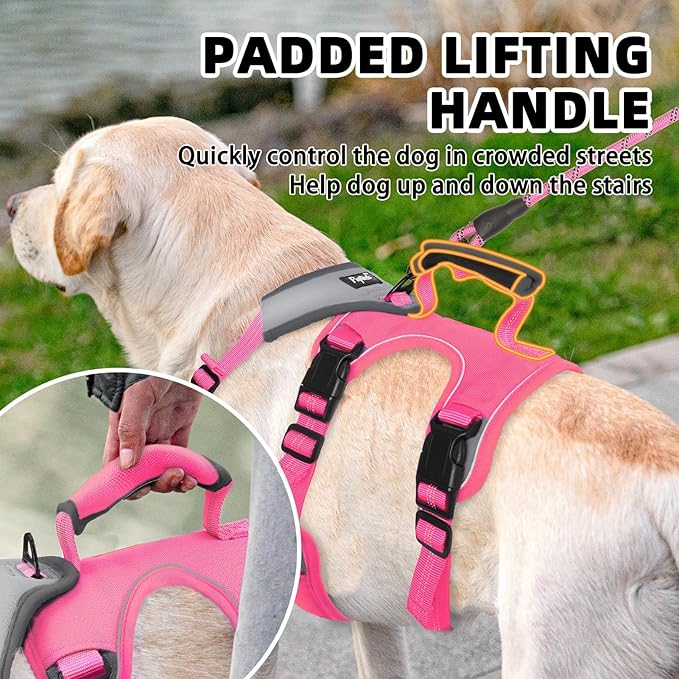 PUPTECK Escape Proof Dog Harness and Leash Set Upgraded No Pull Reflective Dog Vest with Lift Handle, Easy Control Pet Harness for Medium Large Dogs Training Walking Running, Fuchsia, M