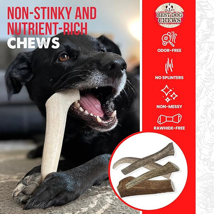 Best Dog Chews Elk Antlers for Dogs Large - Premium Natural Antler Dog Chew for Aggressive Chewers - Long-Lasting Deer Antler Chews - Ideal for Medium to Big Breed Dogs - Elk Bones and Antlers Durable