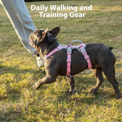 Huntboo No Escape Dog Harness, Escape Proof Harness, Fully Reflective Harness with Padded Handle, Breathable,Durable, Adjustable Vest for Small Dogs Walking, Training, and Running Gear（Pink,S