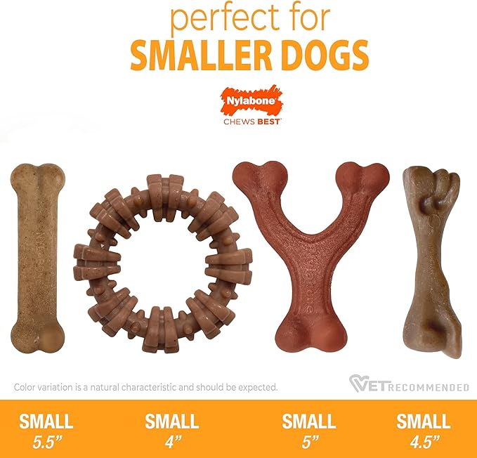 Nylabone Strong Chew Toy 4-Pack Bundle for Dogs Made with Real Bacon, Bison, Venison, Beef, & Chicken, Durable Dog Chew Bones for Aggressive Chewers, Small Dog Toys - Up to 25 lbs, 4 Count