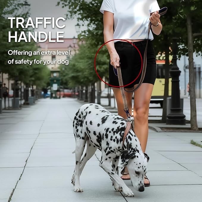 TwoEar 5FT 1IN Strong Brown Dog Leash with 2 Padded Handles, Traffic Handle Extra Control, Comfortable Soft Dual Handle, Auto Lock Hook, Reflective Walking Lead for Small Medium and Large Dogs